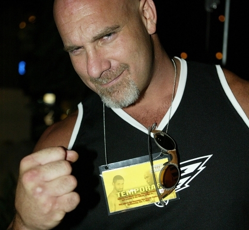 bill goldberg