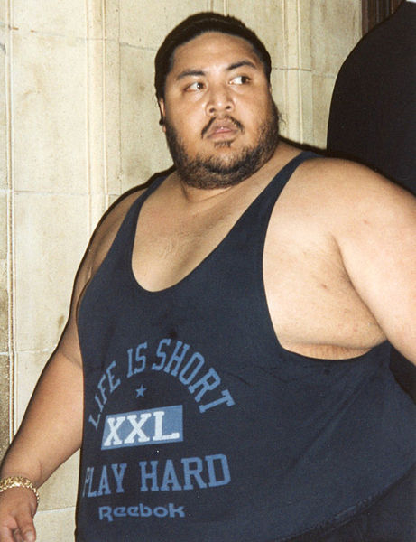 Yokozuna Yokozuna