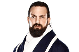 damien sandow