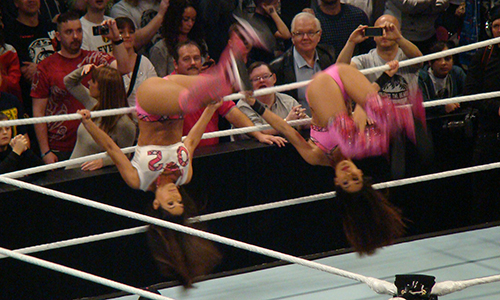 The Bella Twins