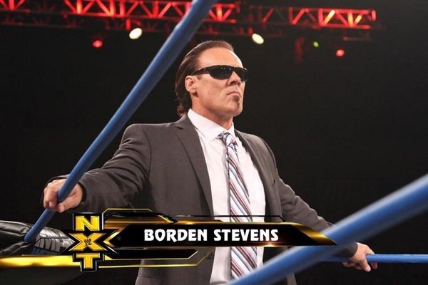 sting-borden wwe nxt