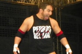 perro aguayo jr