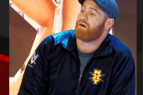 sami zayn