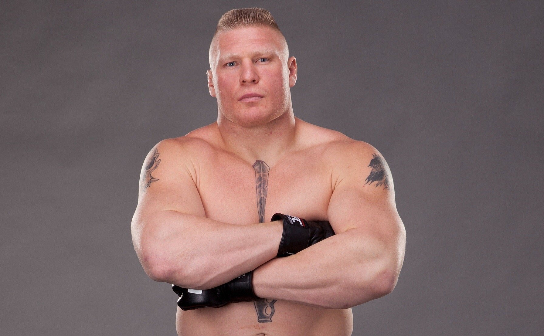 brock lesnar