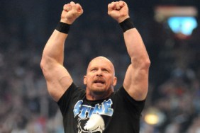 steve austin