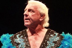 ric flair