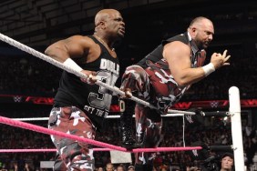 bully ray dudley boyz