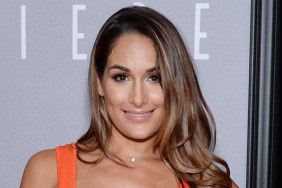 nikki bella