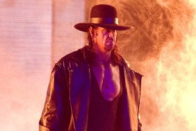 the undertaker