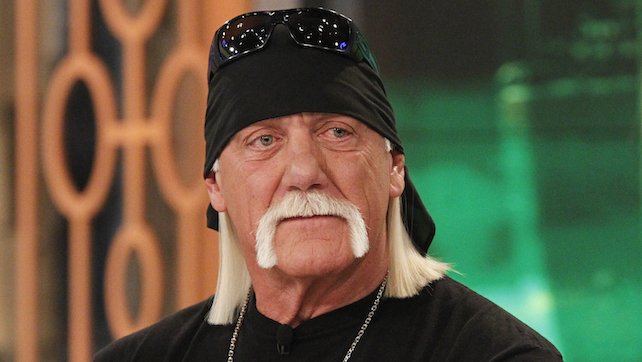 hulk hogan