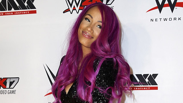 Sasha Banks And Titus O’Neil To MC Steve Irwin Gala Dinner, Rhyno And Heath Slater Are Going To WrestleMania (Video)