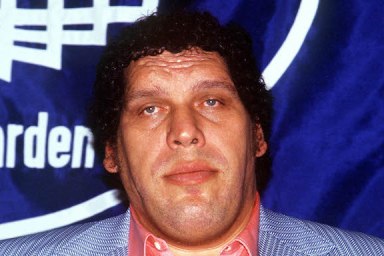 andre the giant