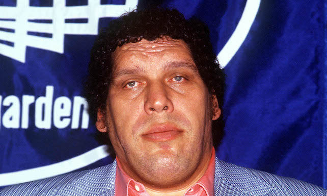 andre the giant