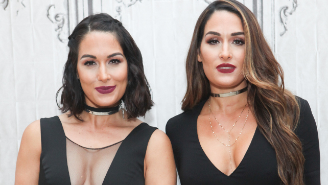 5 Things You Didn’t Know About Nikki Bella