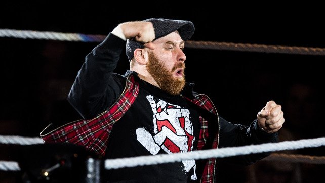 sami zayn