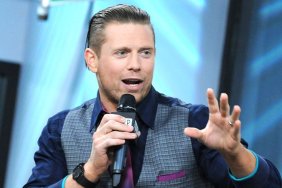 the miz