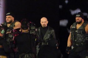 authors of pain paul ellering