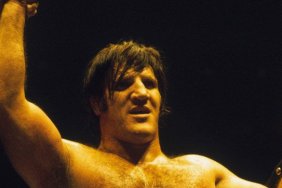 Bruno Sammartino