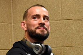 cm punk