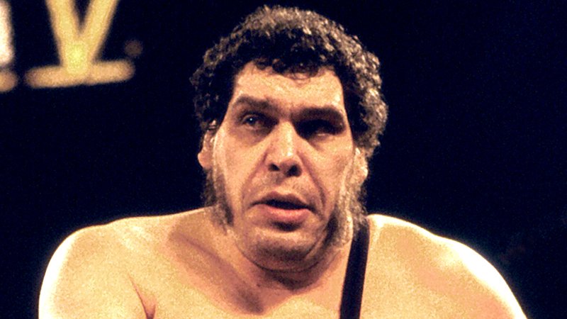 andre the giant