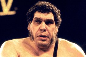 andre the giant