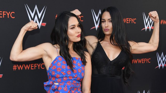 The Bella Twins