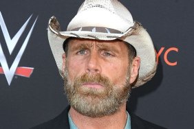 shawn michaels