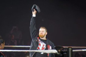 Sami Zayn