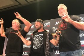 Scott Hall Kevin Nash Sean Waltman nwo