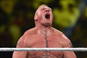 brock lesnar