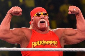 hulk hogan