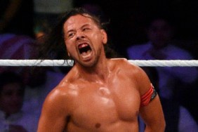 shinsuke nakamura