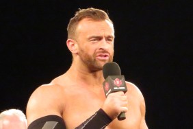 nick aldis