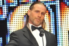 shawn michaels