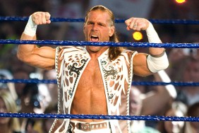 shawn michaels