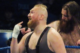 alexander wolfe