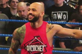 ricochet