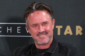 david arquette