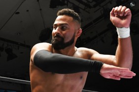 rocky romero