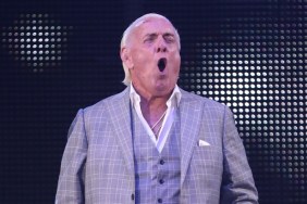 Ric Flair