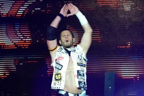 alex shelley