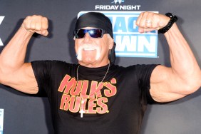 Hulk Hogan