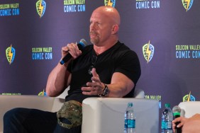 steve austin