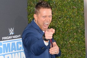 the miz