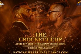 nwa crockett cup