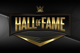 wwe hall of fame