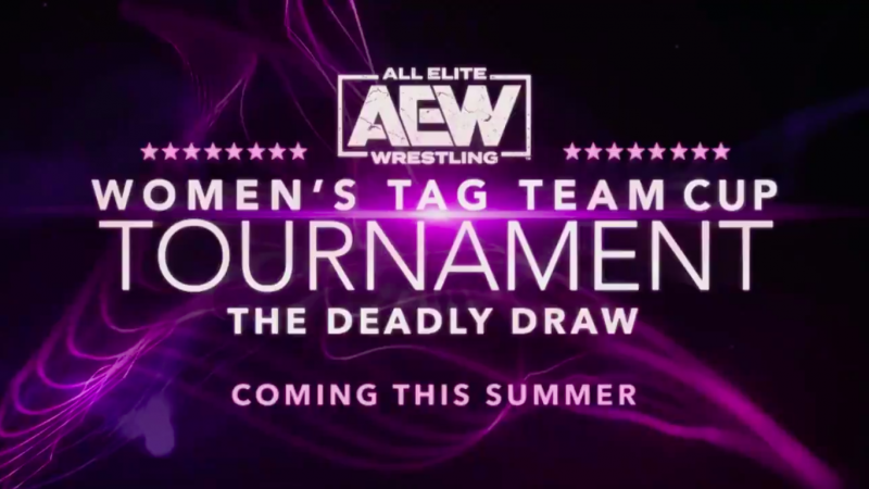 AEW Women's Tag Team Deadly Draw