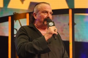 jake roberts