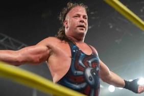 rob van dam