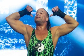 rob van dam